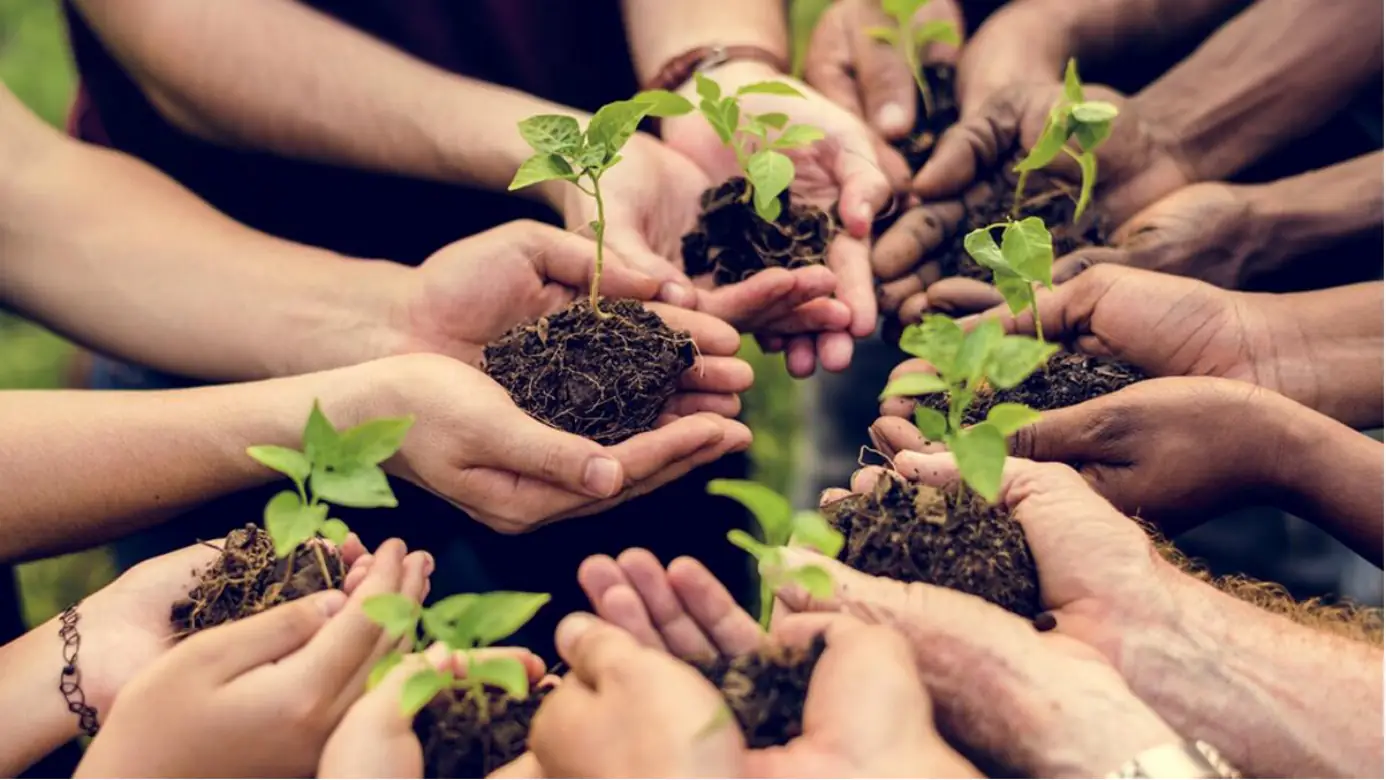 صورة مشروع سواعد التطوع