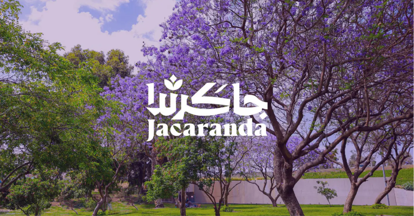صورة مشروع موسم الجاكرندا