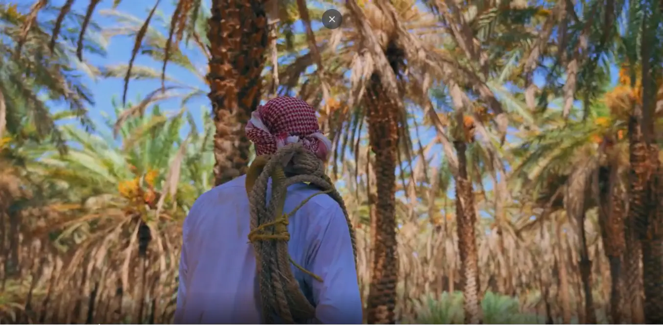 صورة مشروع موسم تمور العلا